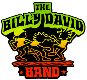 The Billy David Band 